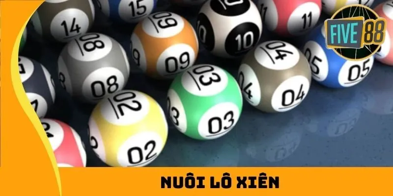 Điều kiện xét tuyển trình độ Ee88 cho phép truy cập vào tất cả các liên kết tuyển sinh - Ee88
