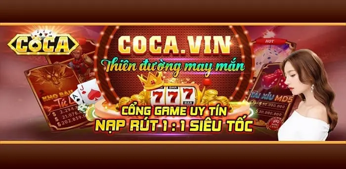 Lv88 và Chính sách của Tổ chức - Lv88