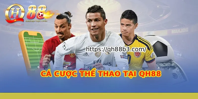 Tận dụng tối đa tính chuyên nghiệp và các hoạt động quảng bá của Gwin - Gwin