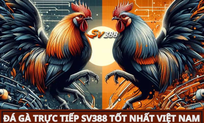 Cổng đăng ký trò chơi thẻ bài N666 sẽ mở vào năm 2026 - N666