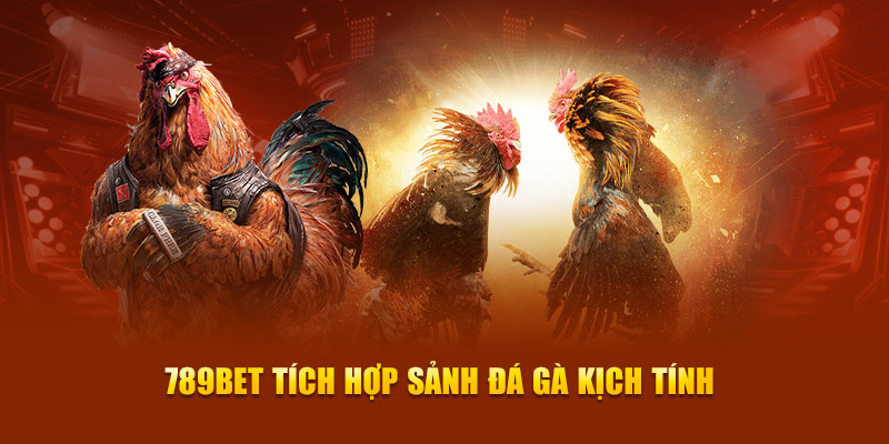 Các sản phẩm game cấp Suncity phổ biến - Suncity