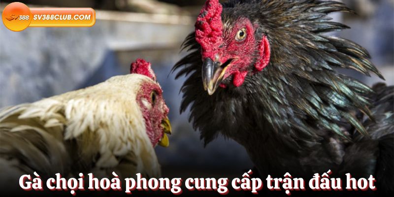 Dòng sản phẩm trò chơi I999 - I999