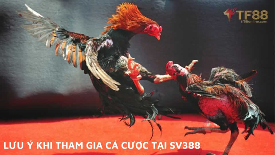 Câu lạc bộ 78Win – Một thiên đường giải trí sôi động và đa dạng - 78Win