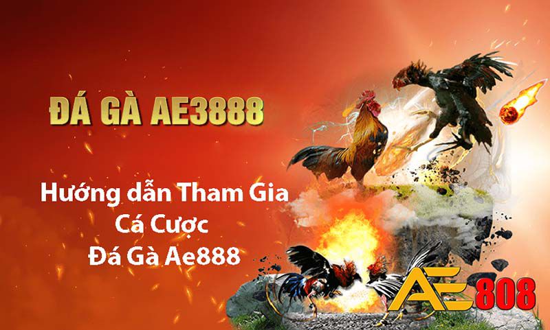 Người chơi mới sẽ chơi trước - Vaobo88