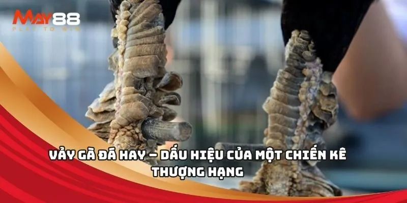 Thông tin liên hệ của trang web Acb8 Games: - Acb8