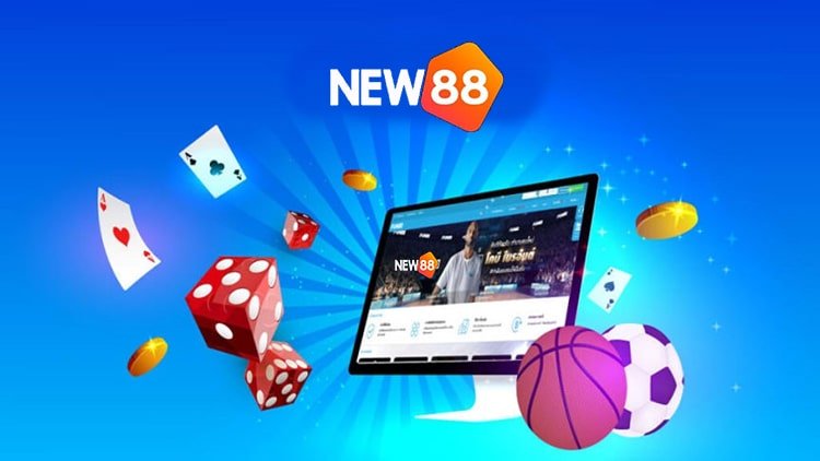 Giới thiệu về gà chọi Dt68 - Dt68