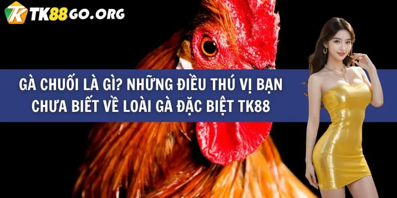 Sun52 Fortune 2026 – Trò chơi Roulette và Slot may mắn, với giải thưởng cao nhất lên đến 1000 lần - Sun52