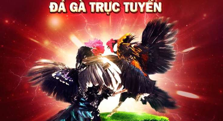 Sức hấp dẫn của các hoạt động quảng bá cấp Win58 - Win58