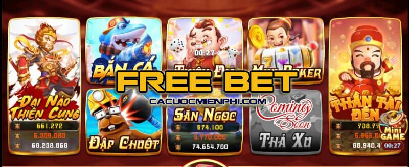 Tại sao D9bet lại gửi 68000 đô la? - D9bet