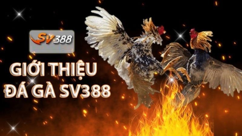 Bảo mật thông tin Gwin - Gwin